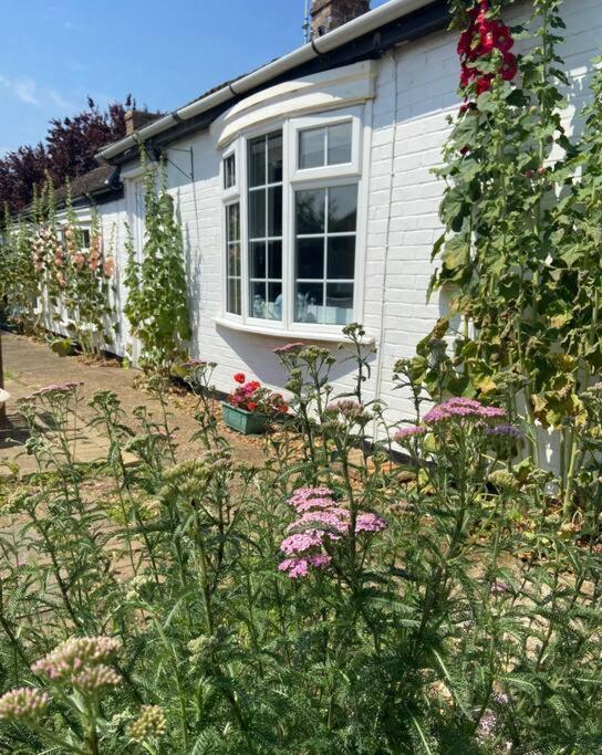 Field Cottage Whittlesey Buitenkant foto