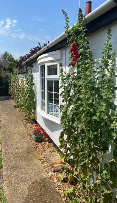 Field Cottage Whittlesey Buitenkant foto